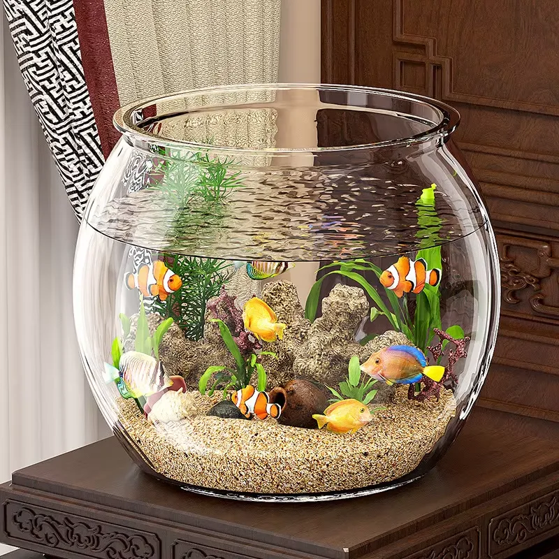 Aquário de Mesa Compacto de Pl - Aquarium Plant Live avaliação e preço