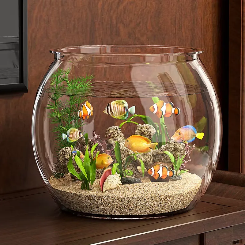 Aquário de Mesa Compacto de Pl - Aquarium Plant Live avaliação e preço