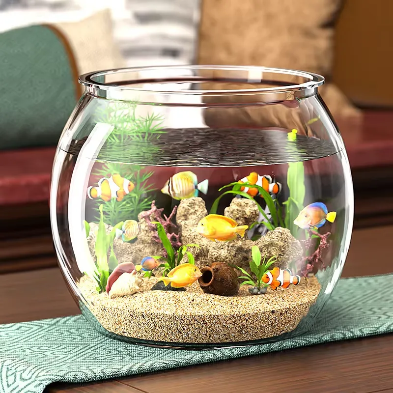 Aquário de Mesa Compacto de Pl - Aquarium Plant Live avaliação e preço