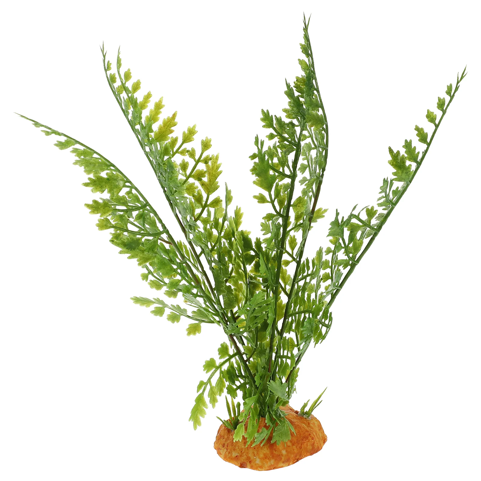 Plantas de répteis terrário vi - Aquarium Plant Vine avaliação e preço