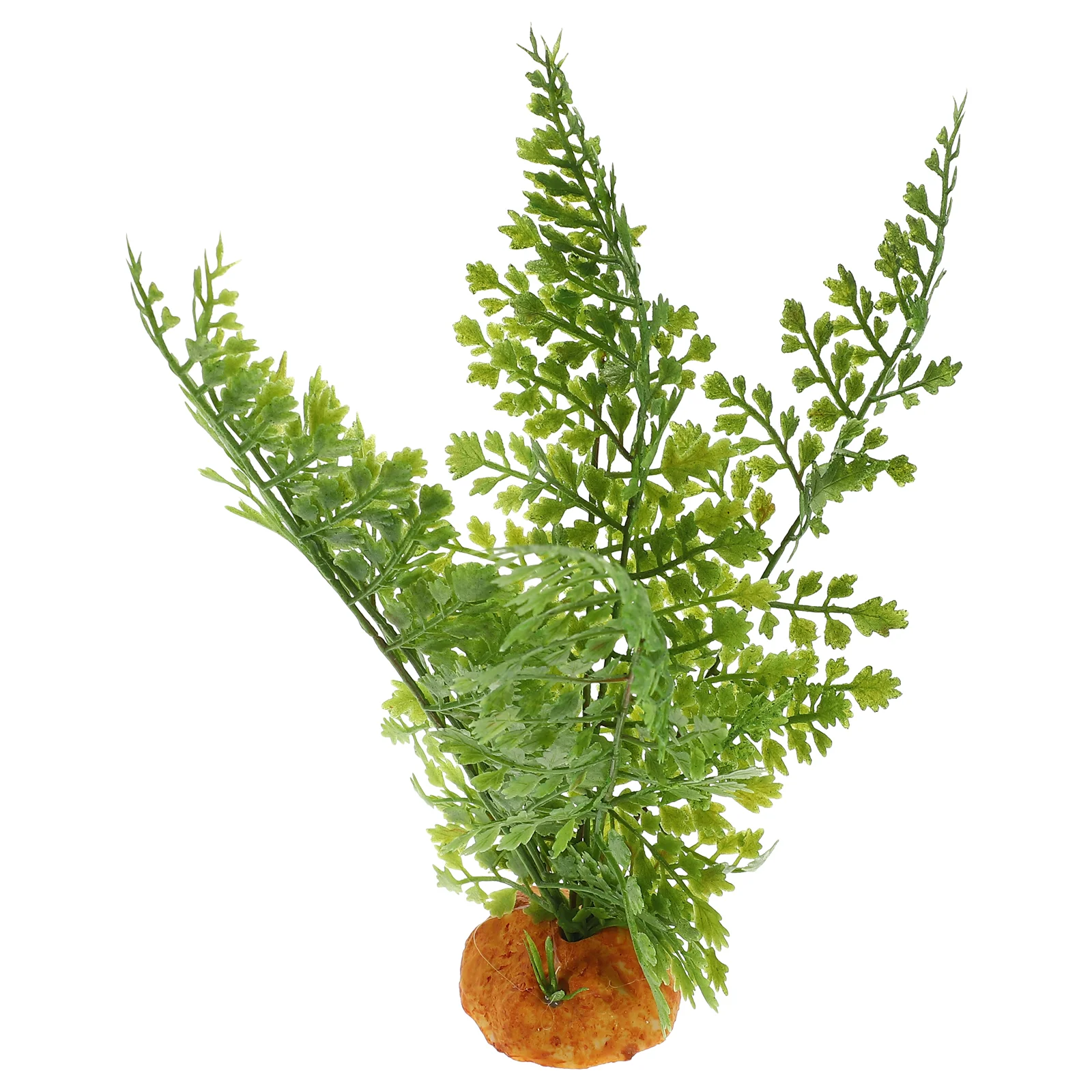 Plantas de répteis terrário vi - Aquarium Plant Vine avaliação e preço
