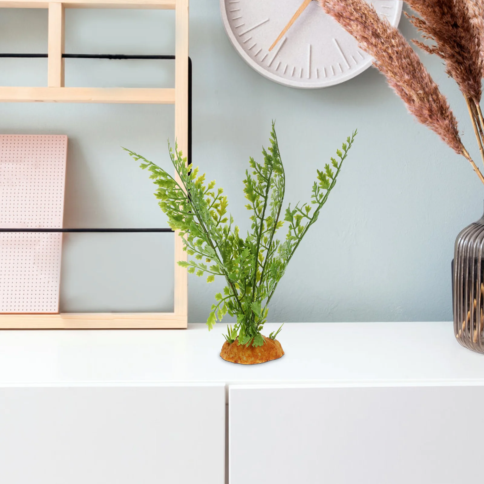 Plantas de répteis terrário vi - Aquarium Plant Vine avaliação e preço