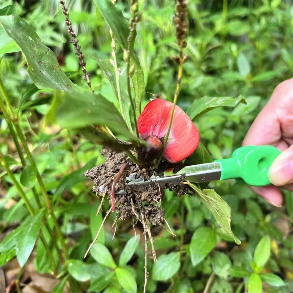 Pinça de Jardinagem em Aço Ino - Planted Clip Tweezers avaliação e preço