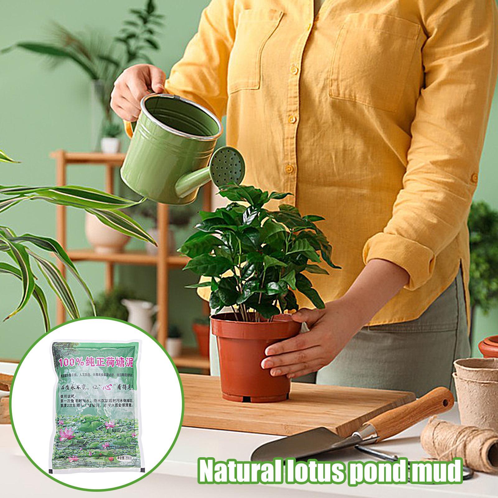 200g/saco Solo Natural para Aq - Aquarium Plant Seeds avaliação e preço