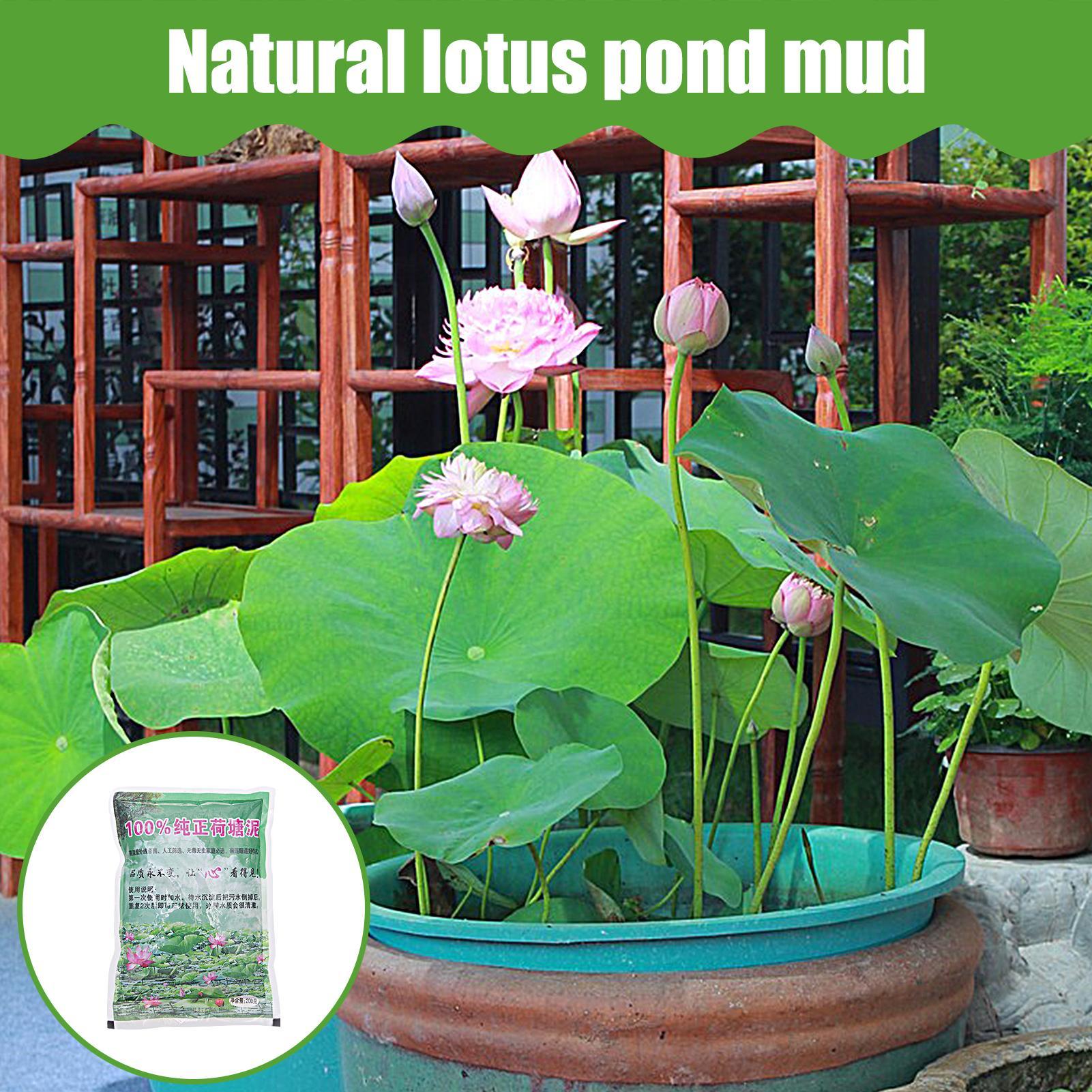 200g/saco Solo Natural para Aq - Aquarium Plant Seeds avaliação e preço