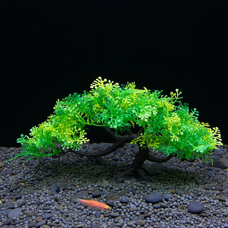 Árvore bonsai de aquário, plan - Aquarium Plant Seeds avaliação e preço
