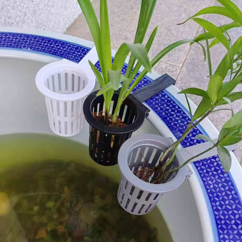 1/3 pçs cesta de plantas de aq - Aquarium Plant Live avaliação e preço