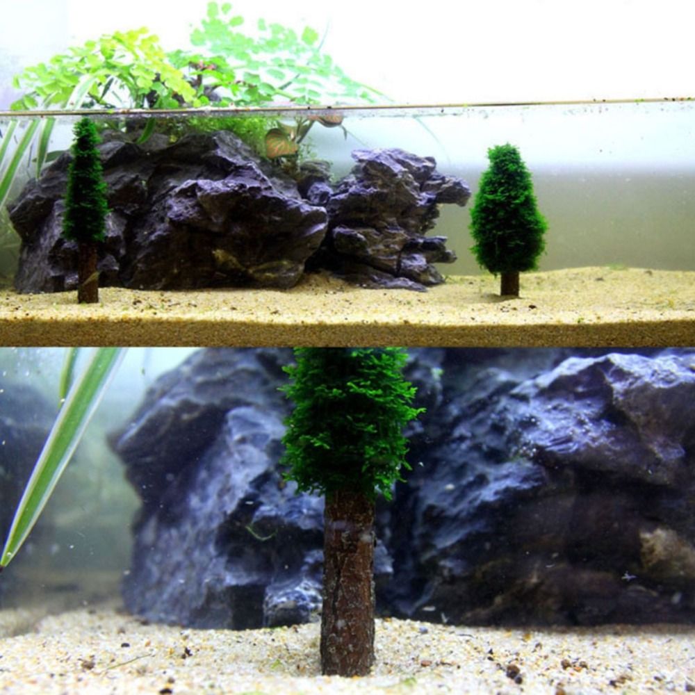 Suporte para Plantas de Musgo  - Planted Aquarium Moss avaliação e preço