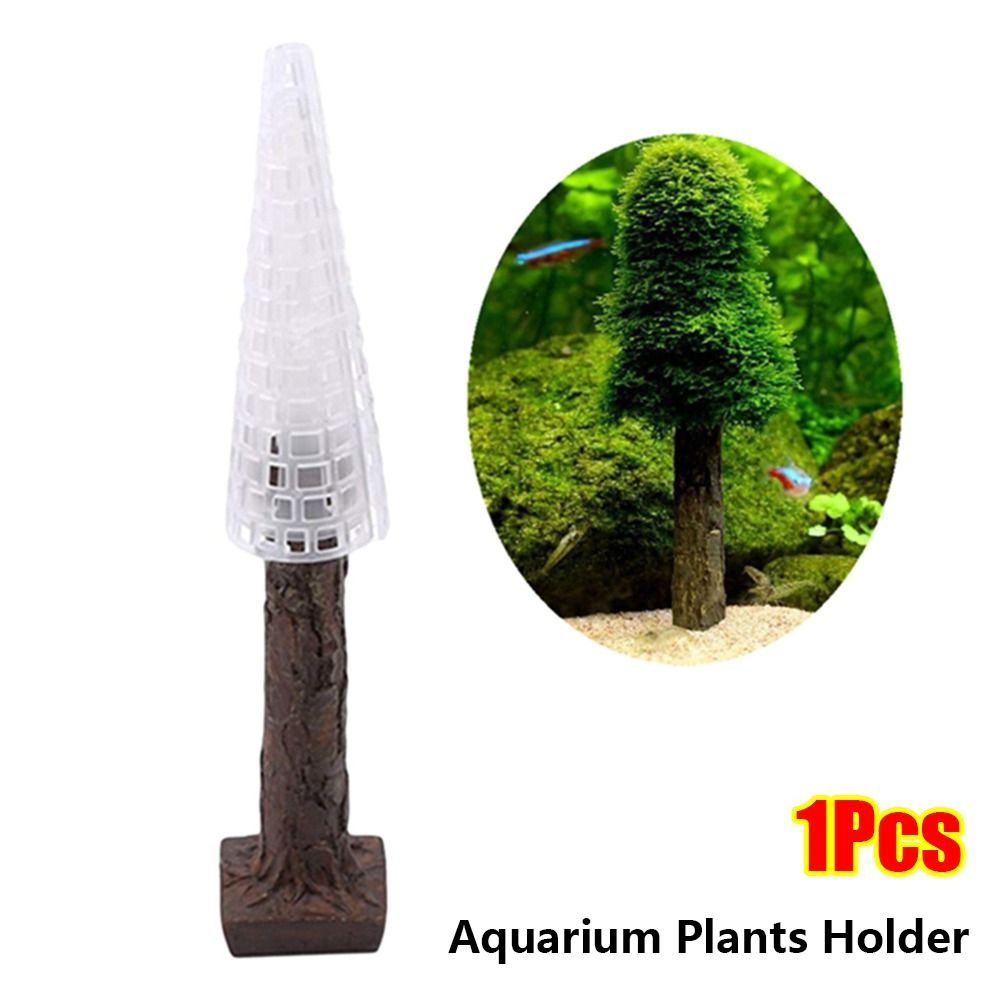 Suporte para Plantas de Musgo  - Planted Aquarium Moss avaliação e preço