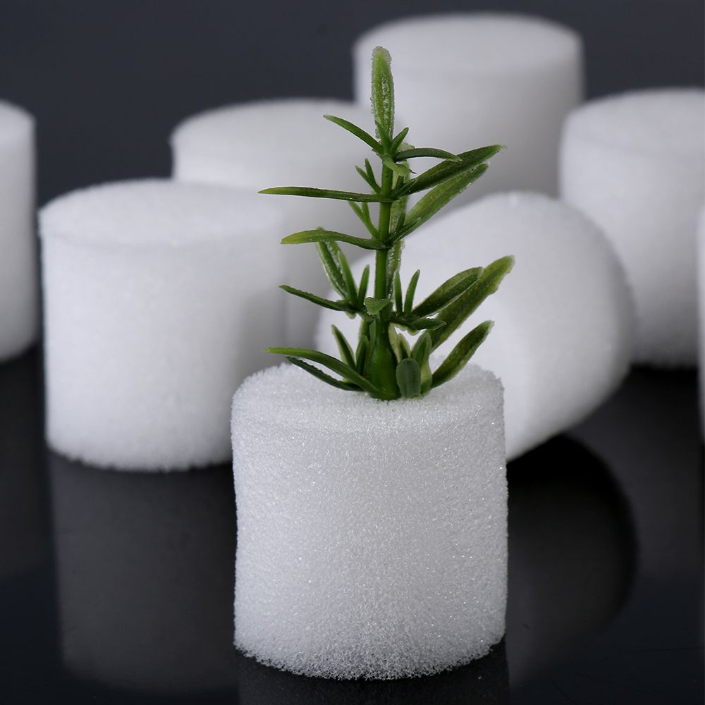 10/50 pçs durável jardim supri - Aquarium Plant Seeds avaliação e preço