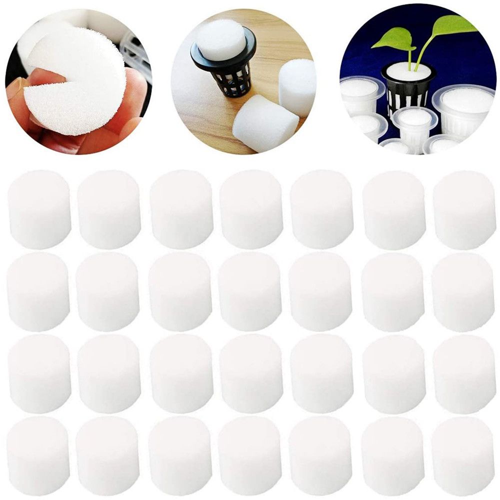 10/50 pçs durável jardim supri - Aquarium Plant Seeds avaliação e preço