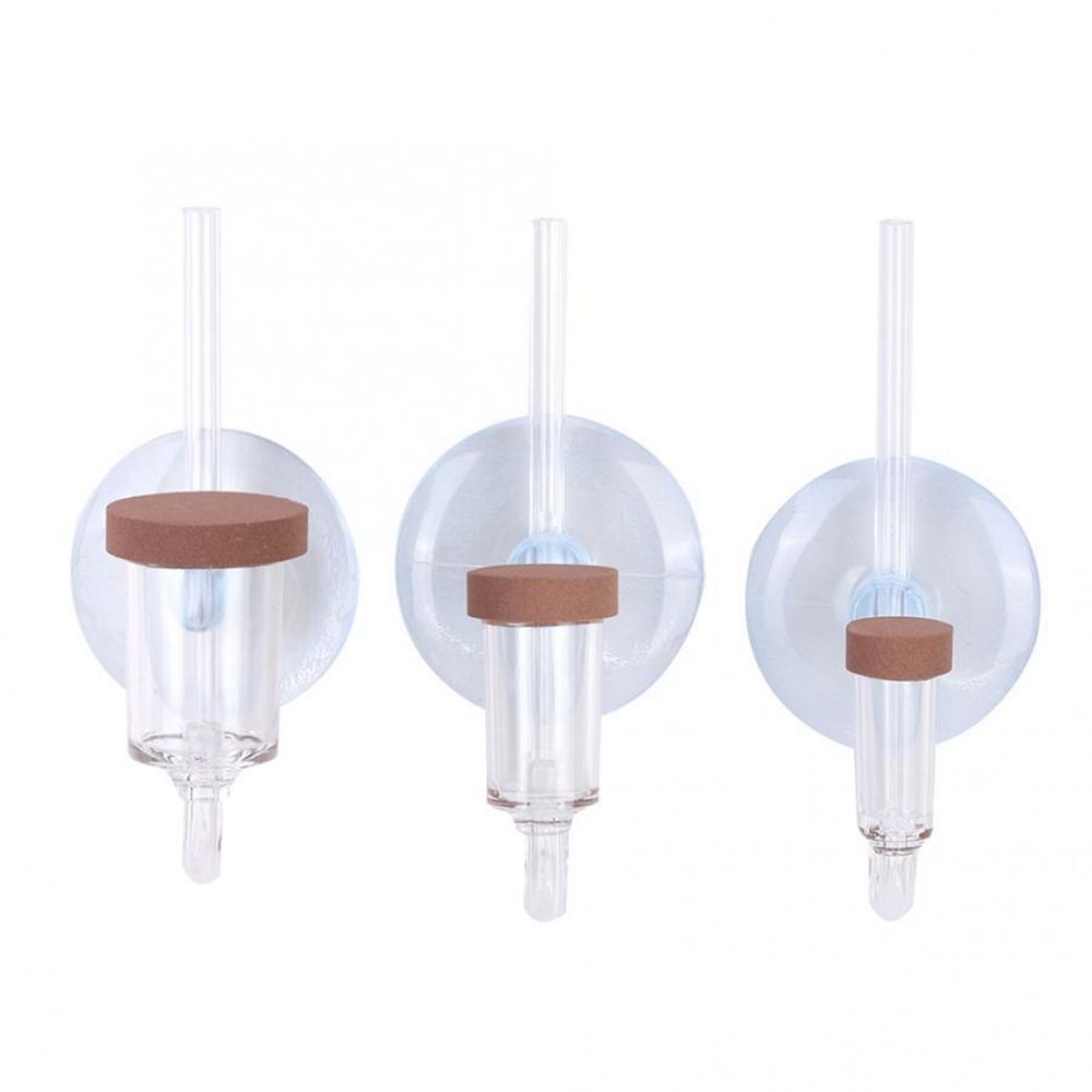 Acrílico mini tanque de peixes - Planted Aquarium Maintenance avaliação e preço