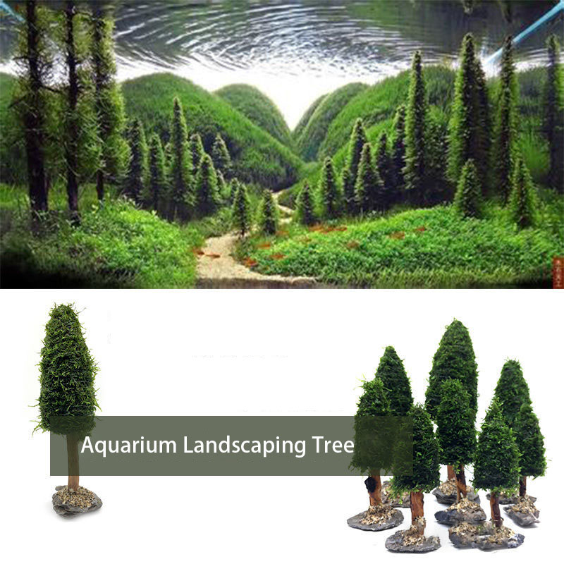 Plantas aquáticas para a decor - Aquarium Plant Seeds avaliação e preço