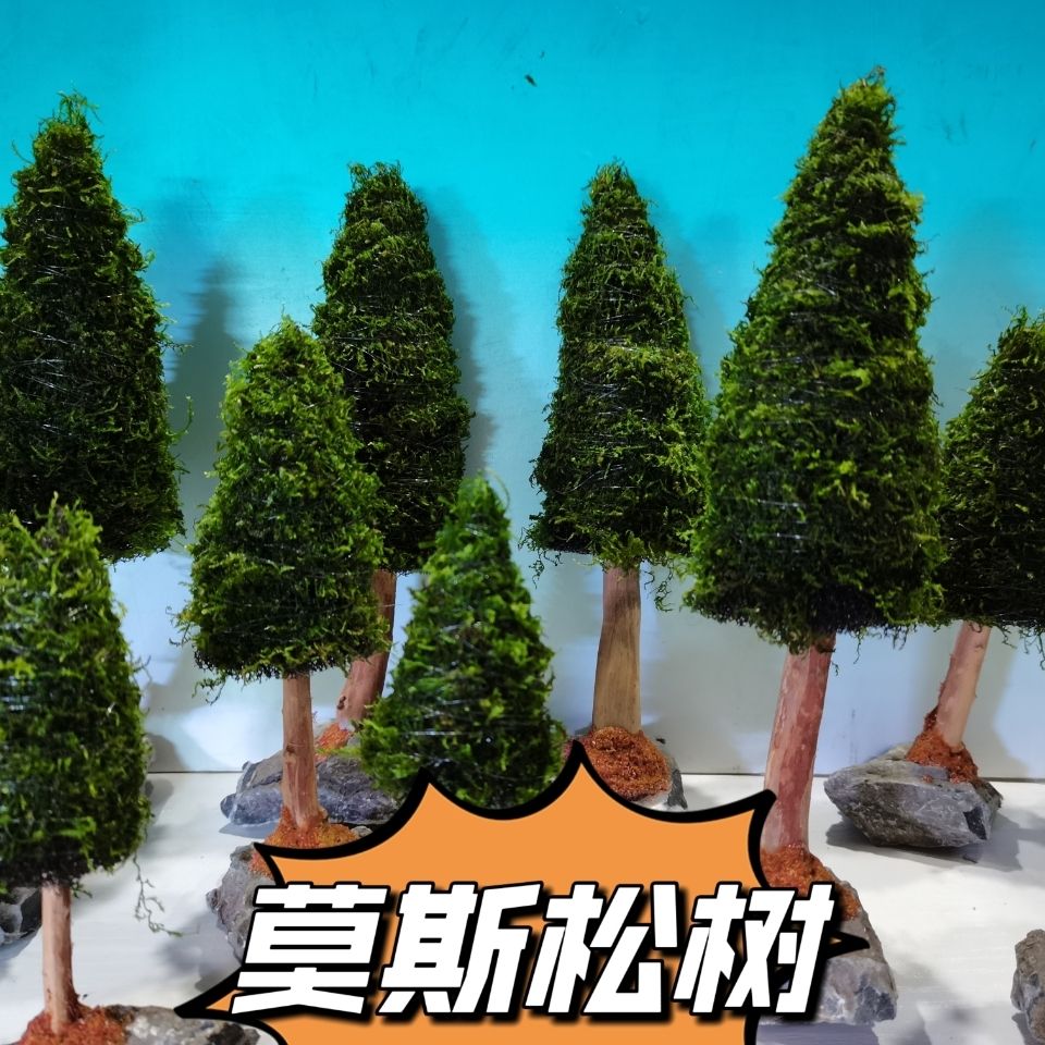 Plantas aquáticas para a decor - Aquarium Plant Seeds avaliação e preço