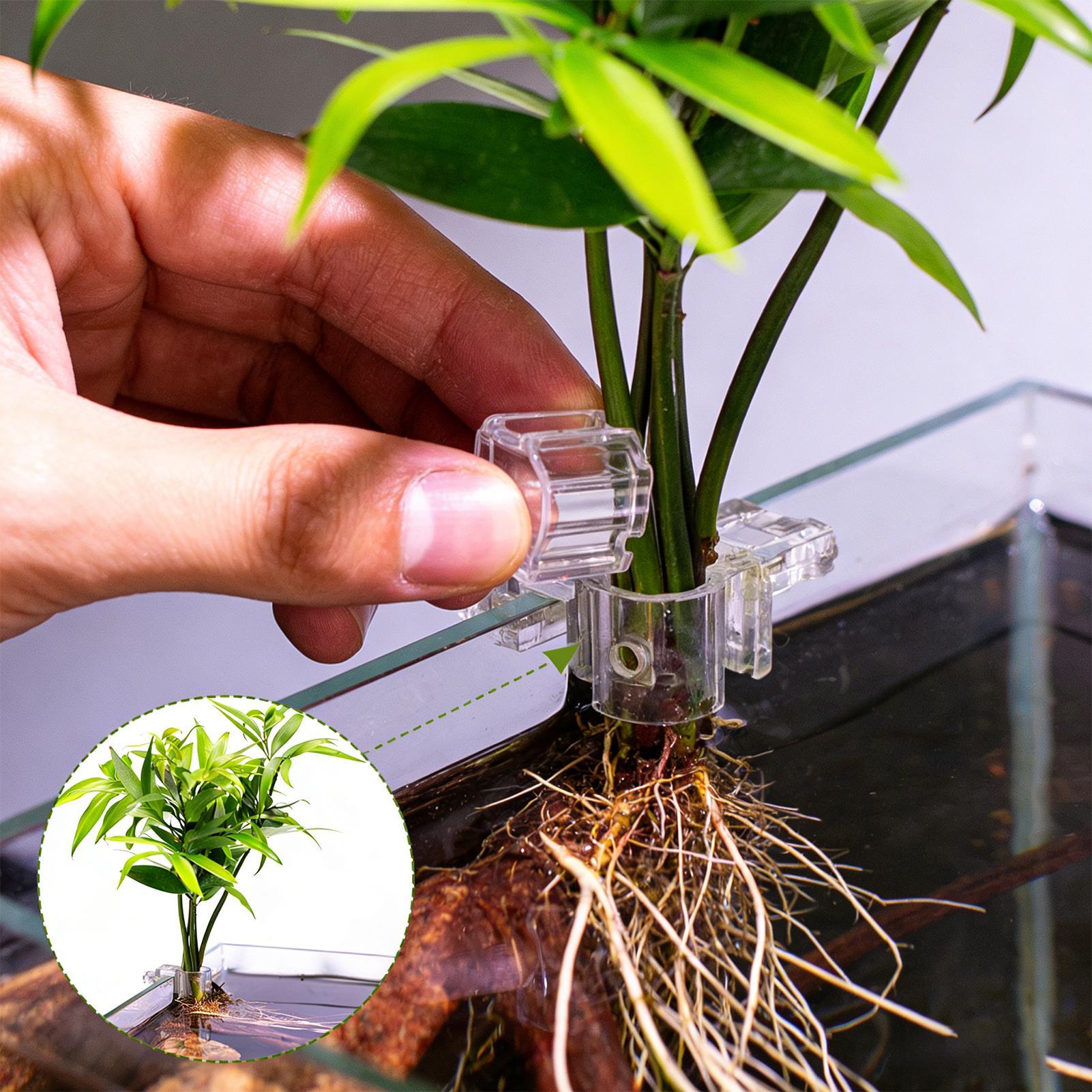 Suporte para plantas para aquá - Aquarium Plant Live avaliação e preço
