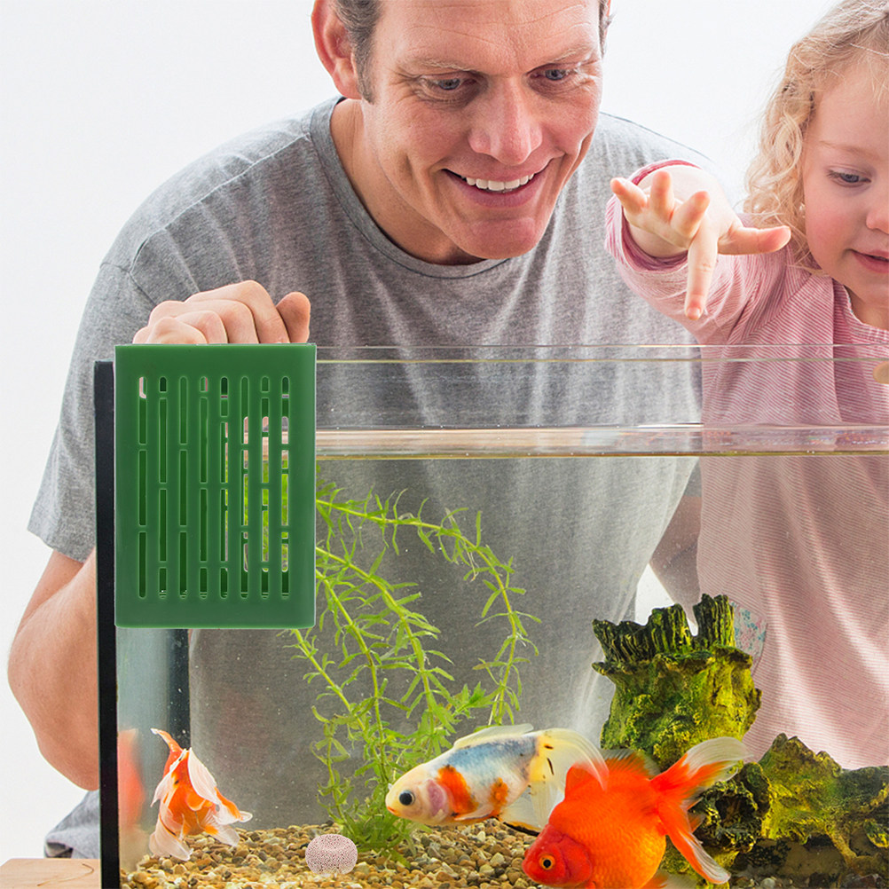 Copo de Planta para Aquário em - Planted Aquarium Moss avaliação e preço