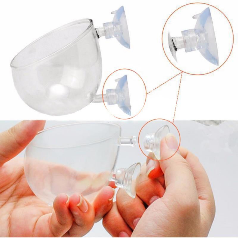 Aquário Pendurado Vaso De Plan - Aquarium Plant Seeds avaliação e preço