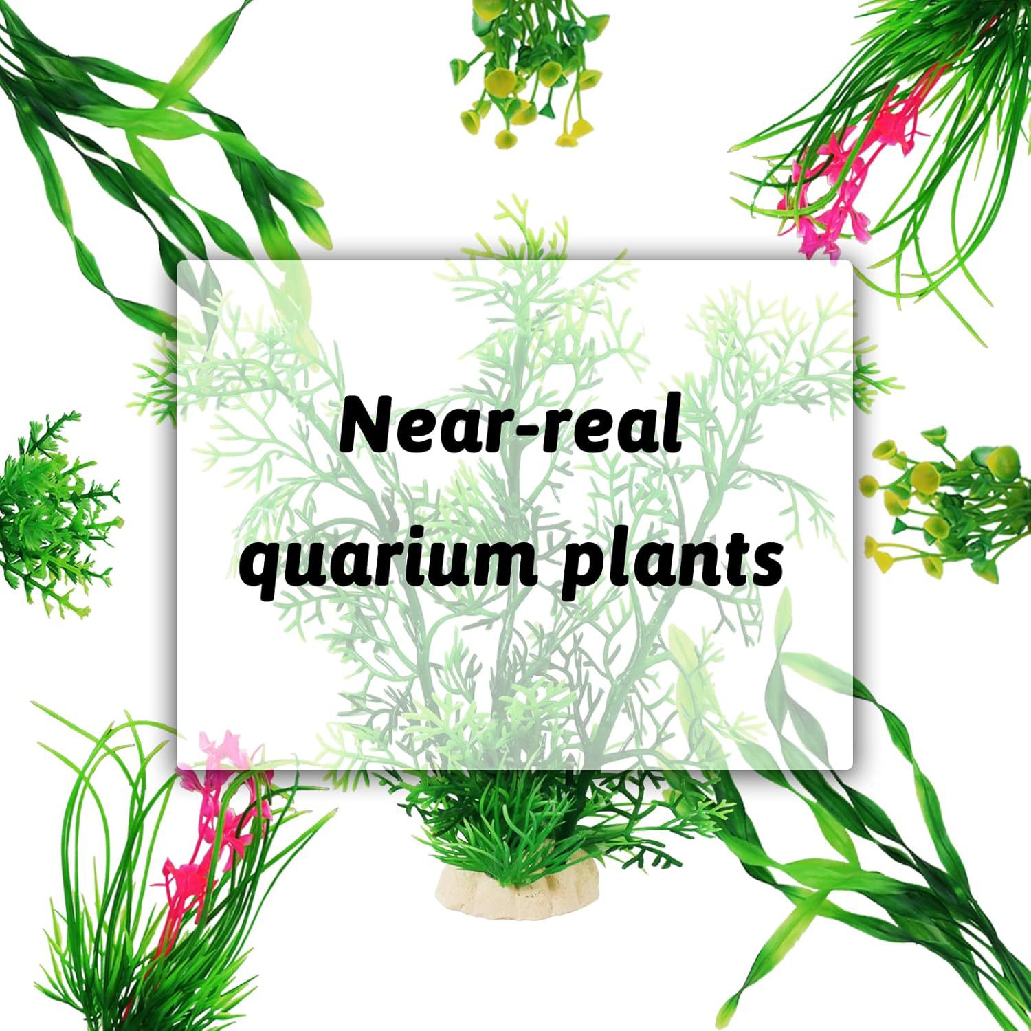 Conjunto de plantas artificiai - Planted Aquarium For Beginners avaliação e preço