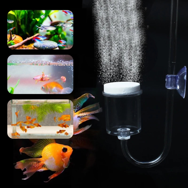 CO2 Difusor para Aquário, DIY  - Planted Aquarium Maintenance avaliação e preço