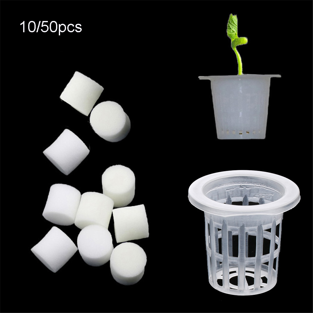 10/50 pçs durável plantio aquá - Aquarium Plant Seeds avaliação e preço