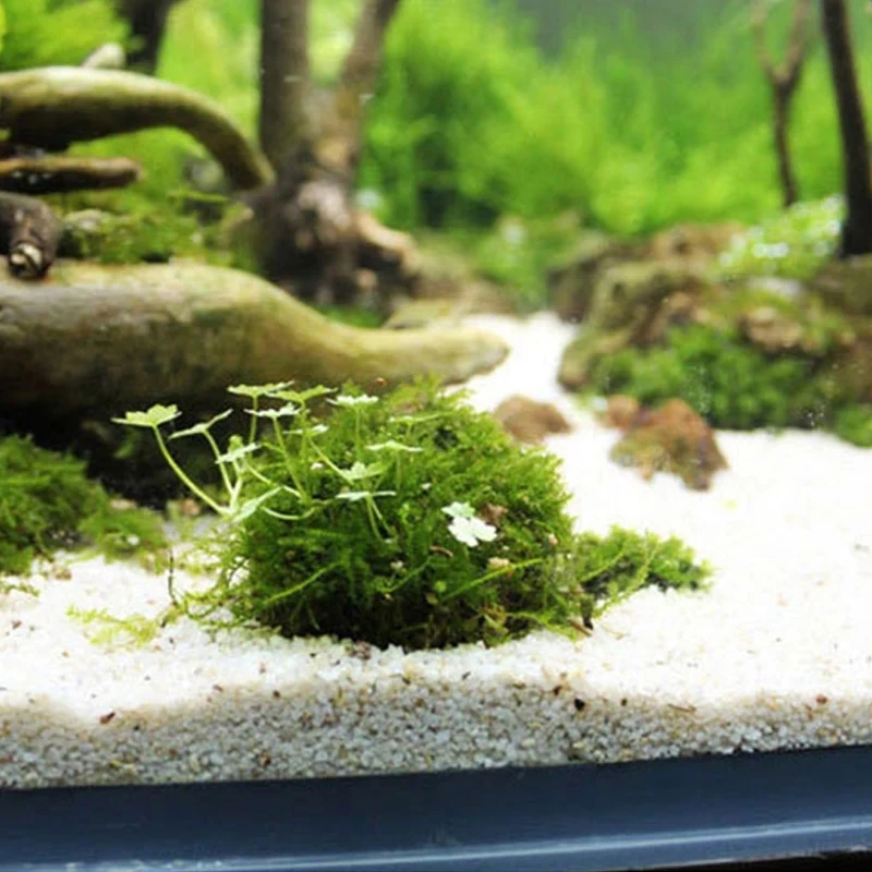 Suporte de bola de musgo para  - Planted Aquarium Models avaliação e preço