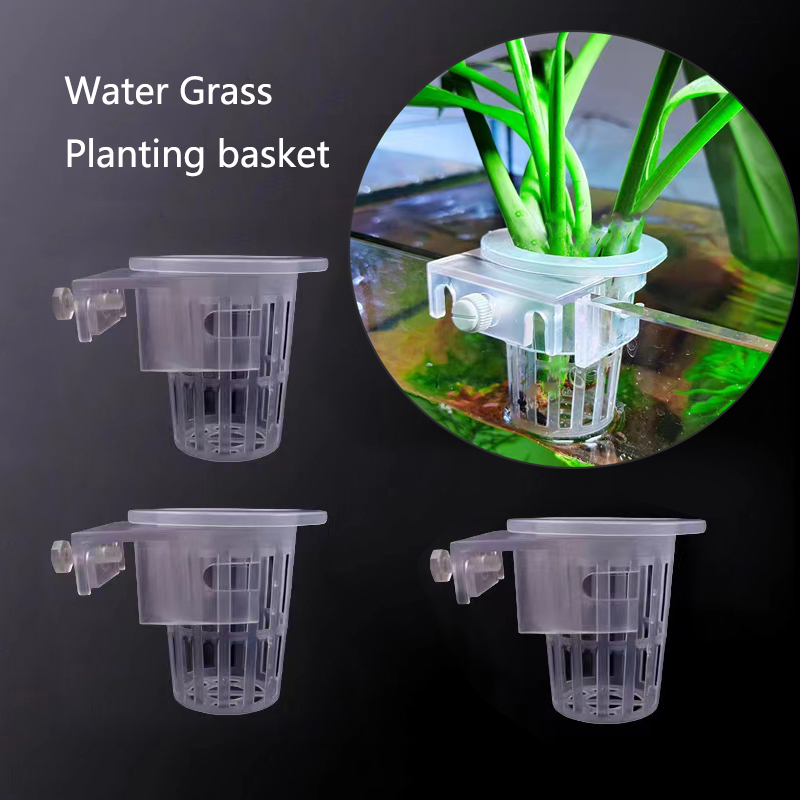 Cesta de plantio de aquário, s - Aquarium Plant Live avaliação e preço