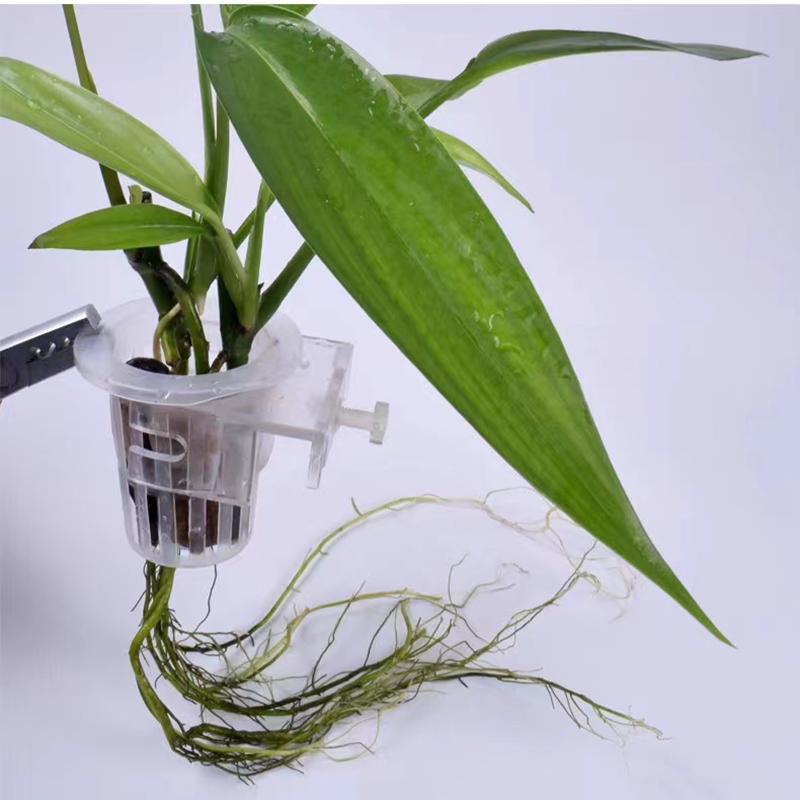 Cesta de plantio de aquário, s - Aquarium Plant Live avaliação e preço