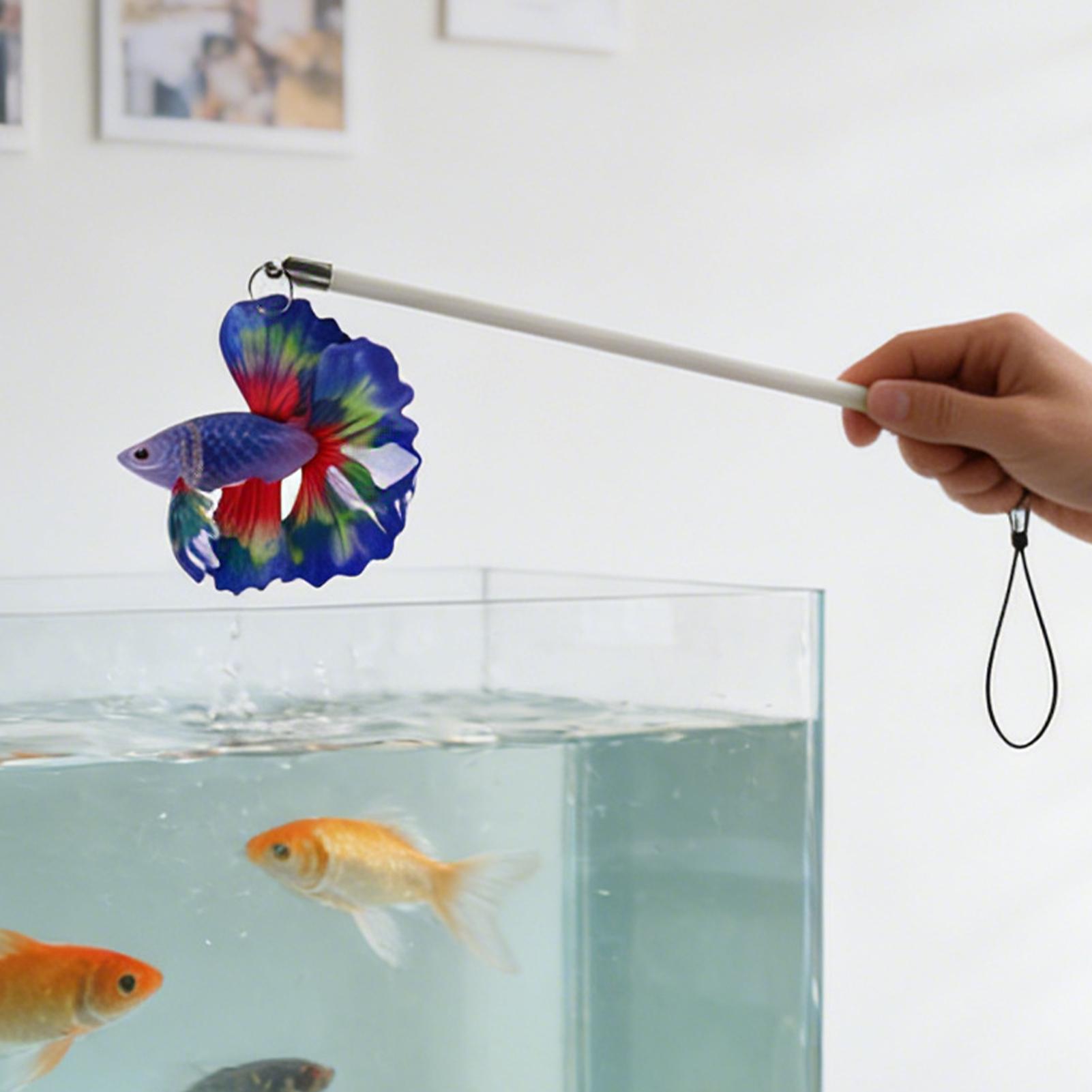 Bastão de Treinamento para Pei - Planted Aquarium For Beginners avaliação e preço