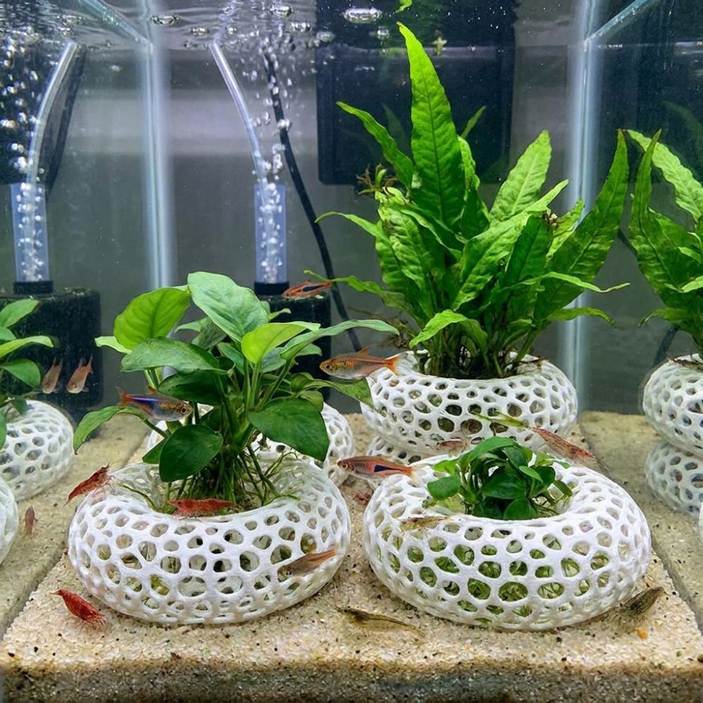 Caverna de Esconderijo para Pe - Planted Aquarium Moss avaliação e preço