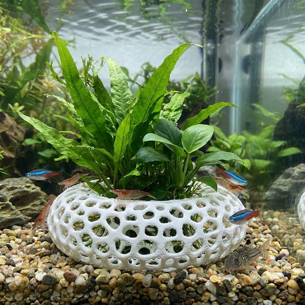 Caverna de Esconderijo para Pe - Planted Aquarium Moss avaliação e preço