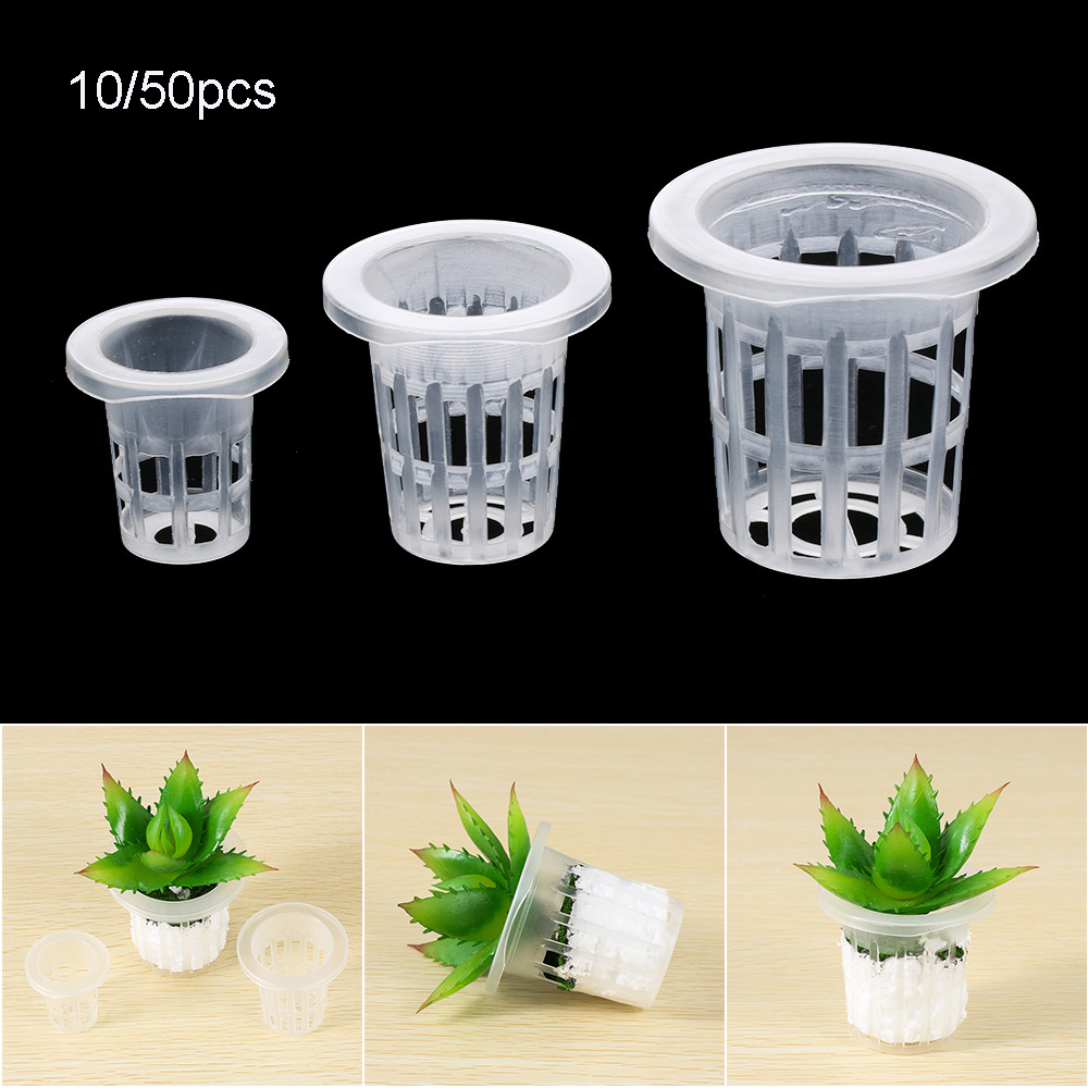 10/50 pçs suprimentos de jardi - Aquarium Plant Seeds avaliação e preço