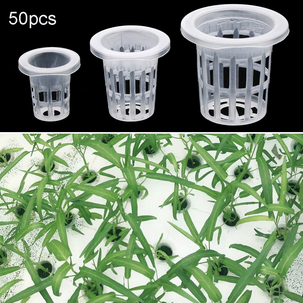 10/50 pçs suprimentos de jardi - Aquarium Plant Seeds avaliação e preço