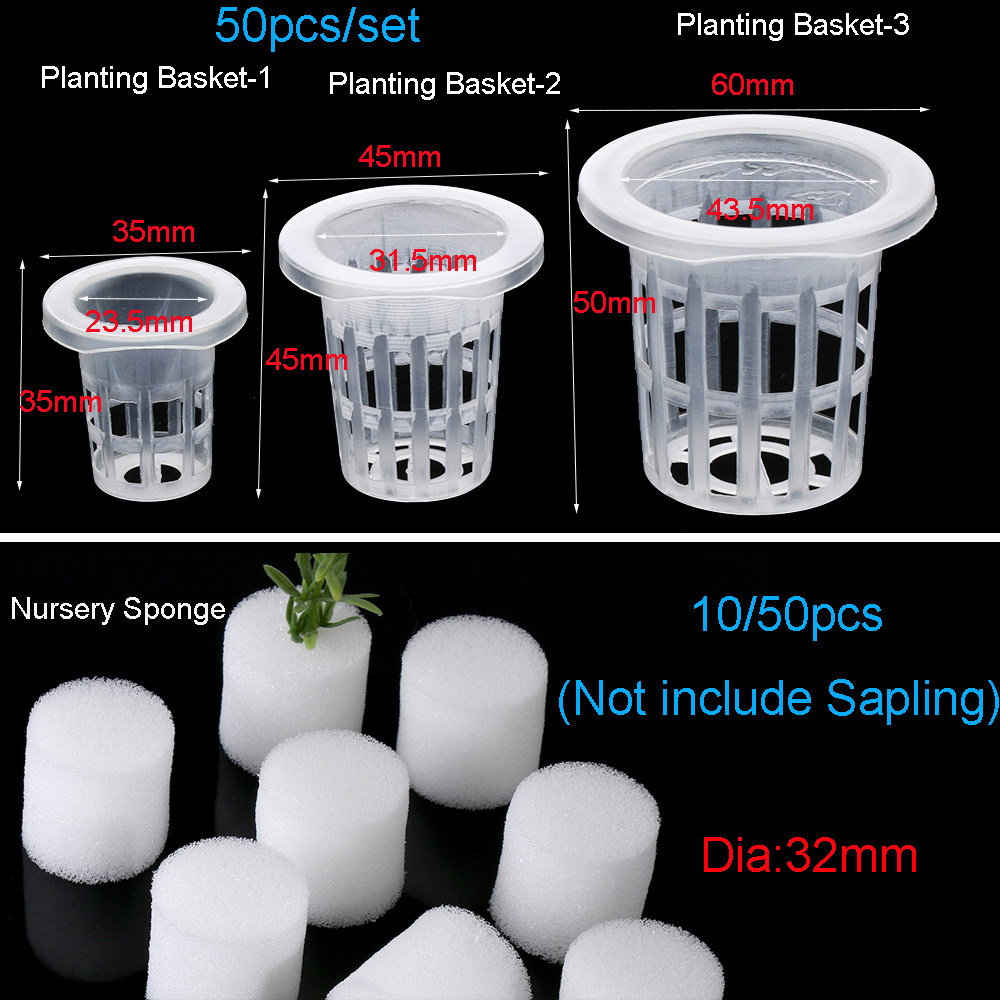 10/50 pçs suprimentos de jardi - Aquarium Plant Seeds avaliação e preço